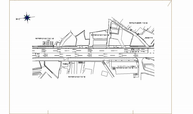 ��ƻ16��ʰ�Ҷ��